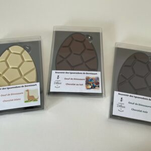 🦕 Oeuf de dino 🦕<br>"Made in Bernissart"