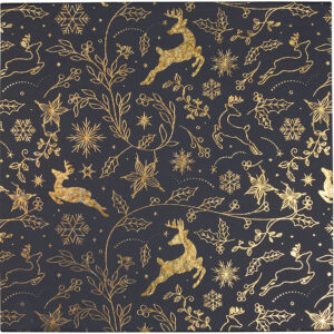 Coffret prestige Nuit magique